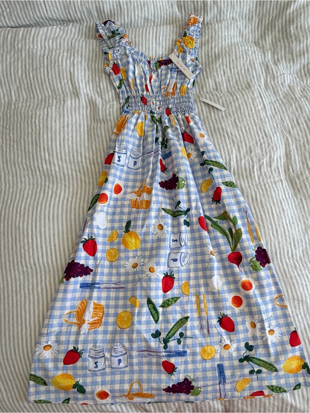 NWT Lisa says Gah picnic blue gingham maxi dress